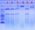 Thumbnail for version as of 15:04, 29 May 2012