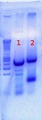 Thumbnail for version as of 14:34, 6 July 2012