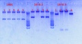 Thumbnail for version as of 16:38, 25 February 2013