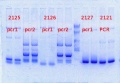 Thumbnail for version as of 13:06, 18 March 2014