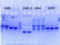 Thumbnail for version as of 17:18, 13 January 2015