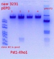 Thumbnail for version as of 09:25, 3 July 2018