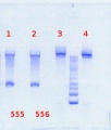 Thumbnail for version as of 14:29, 25 June 2013