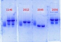 Thumbnail for version as of 12:38, 21 February 2014