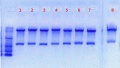 Thumbnail for version as of 10:38, 7 June 2012