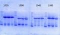 Thumbnail for version as of 14:24, 13 January 2014