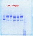 Thumbnail for version as of 16:30, 9 August 2013