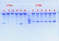 Thumbnail for version as of 12:58, 25 July 2013