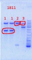 Thumbnail for version as of 13:29, 13 September 2013