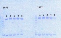 Thumbnail for version as of 09:21, 25 November 2013