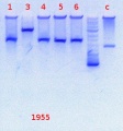 Thumbnail for version as of 15:54, 2 December 2013
