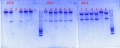 Thumbnail for version as of 16:24, 24 January 2014