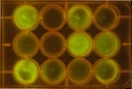 Thumbnail for version as of 10:55, 17 November 2011