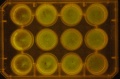 Thumbnail for version as of 11:54, 11 January 2012