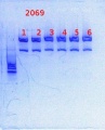 Thumbnail for version as of 15:04, 7 February 2014