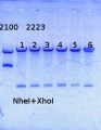 Thumbnail for version as of 11:39, 22 May 2014