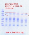 Thumbnail for version as of 11:17, 31 December 2018