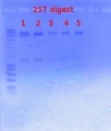 Thumbnail for version as of 11:12, 24 January 2012
