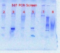 Thumbnail for version as of 13:11, 20 July 2012