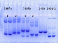 Thumbnail for version as of 17:18, 13 January 2015