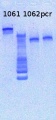 Thumbnail for version as of 15:21, 15 March 2013