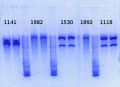 Thumbnail for version as of 15:08, 17 January 2014