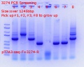 Thumbnail for version as of 16:19, 11 September 2018