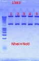Thumbnail for version as of 14:05, 10 October 2012