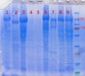 Thumbnail for version as of 10:40, 8 July 2013