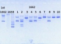 Thumbnail for version as of 11:43, 17 July 2013