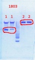 Thumbnail for version as of 11:50, 2 August 2013
