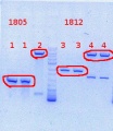 Thumbnail for version as of 10:25, 13 August 2013