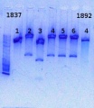 Thumbnail for version as of 13:35, 4 November 2013