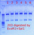 Thumbnail for version as of 15:52, 13 April 2012