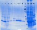 Thumbnail for version as of 15:42, 19 December 2014