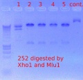 Thumbnail for version as of 10:19, 7 February 2012