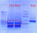 Thumbnail for version as of 11:45, 24 January 2012