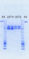 Thumbnail for version as of 12:45, 8 November 2013