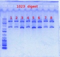 Thumbnail for version as of 12:54, 27 April 2012