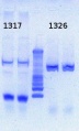 Thumbnail for version as of 16:50, 5 April 2013