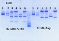 Thumbnail for version as of 09:58, 17 October 2013