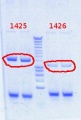 Thumbnail for version as of 14:13, 24 October 2012