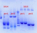 Thumbnail for version as of 15:05, 28 January 2013