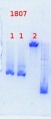 Thumbnail for version as of 14:07, 5 August 2013