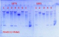 Thumbnail for version as of 16:02, 28 October 2013