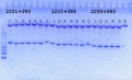 Thumbnail for version as of 13:01, 11 September 2014