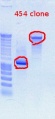 Thumbnail for version as of 12:45, 22 November 2011