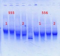 Thumbnail for version as of 11:37, 7 June 2013