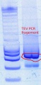 Thumbnail for version as of 14:58, 17 October 2011