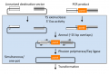 Thumbnail for version as of 22:45, 16 March 2012
